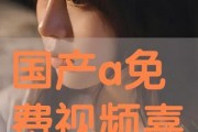 免费国产a,打造高效便捷的数字生活