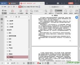 娱乐圈吃瓜pdf,PDF文件深度解析